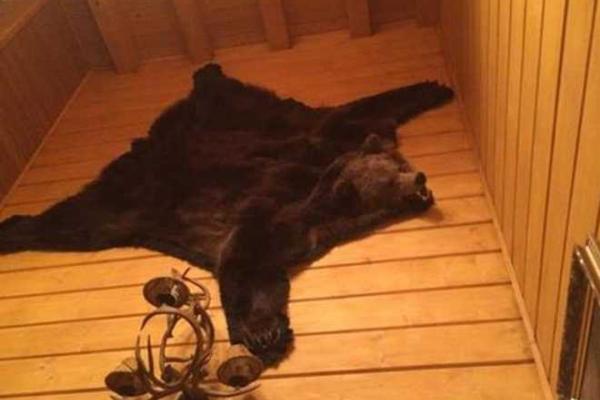 «Закарпатское Межигорье»: в сети появились фото особняка Медведчука в Карпатах «Закарпатское Межигорье»: в сети появились фото особняка Медведчука в Карпатах