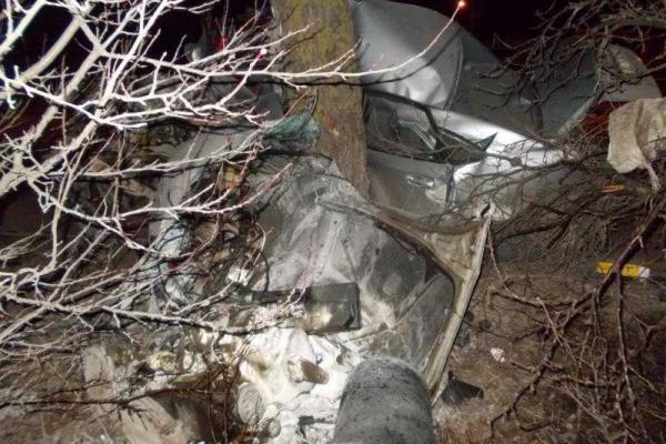 В Запорожье иномарка влетела в дерево, водитель погиб В Запорожье иномарка влетела в дерево, водитель погиб