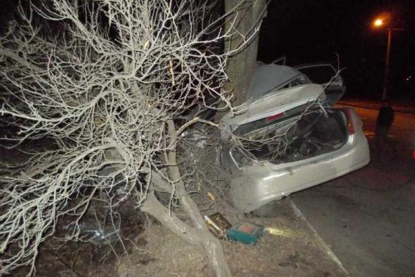 В Запорожье иномарка влетела в дерево, водитель погиб В Запорожье иномарка влетела в дерево, водитель погиб