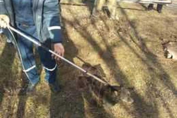 В Мариуполе спасатели достали из колодца собаку В Мариуполе спасатели достали из колодца собаку