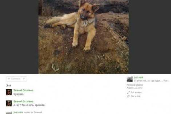 Боевики «ДНР» начали есть собак (18+)