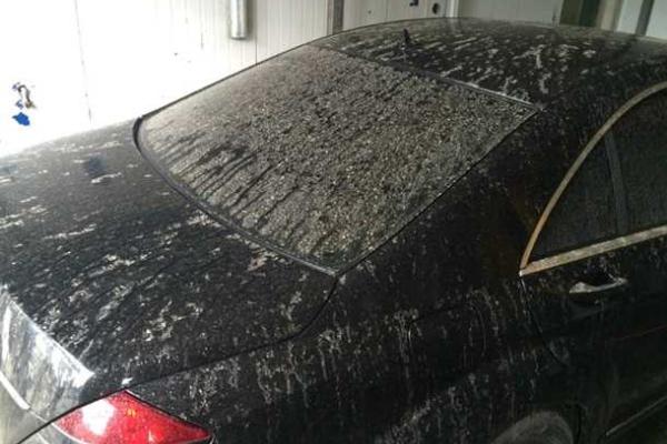 Во Львовской области выпал оранжевый дождь Во Львовской области выпал оранжевый дождь