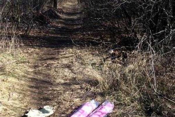 В Торецком на Донетчине на свалке нашли два заряженных гранатомета