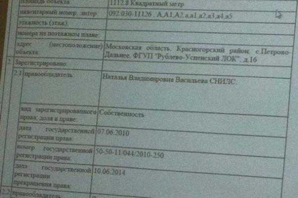 Журналисты показали особняк Азарова на Рублевке