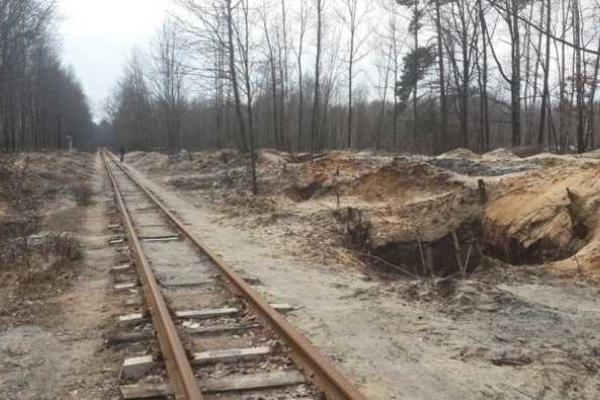 В сети показали последствия незаконной добычи янтаря на Ровенщине