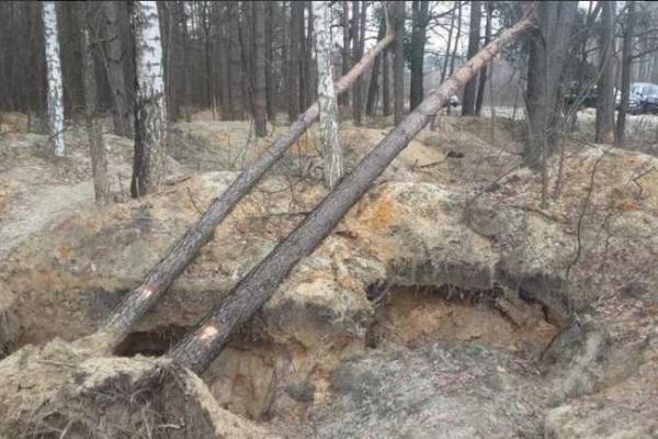 В сети показали последствия незаконной добычи янтаря на Ровенщине