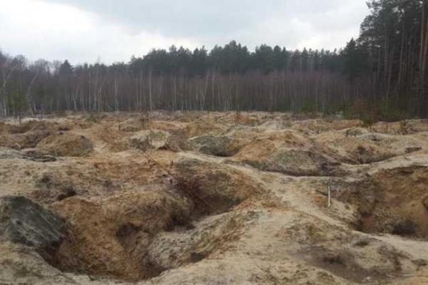 В сети показали последствия незаконной добычи янтаря на Ровенщине