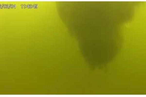 Киевские водолазы обнаружили ужасную находку