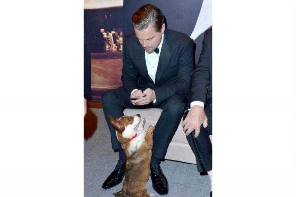 Грустный Ди Каприо с "Оскаром" стал интернет-мемом Грустный Ди Каприо с "Оскаром" стал интернет-мемом