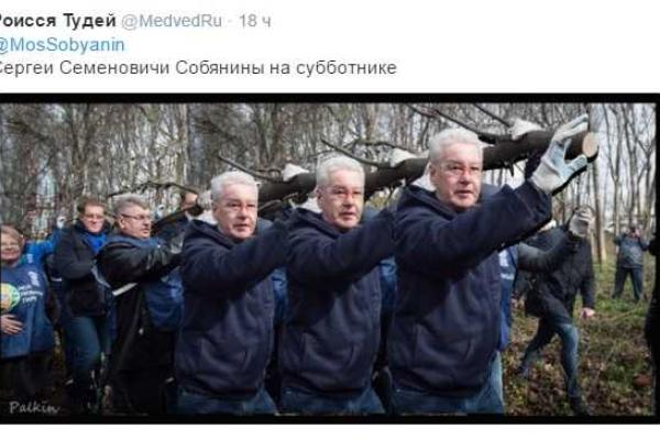 Фото мэра Москвы Собянина с "бревном" взорвало сеть