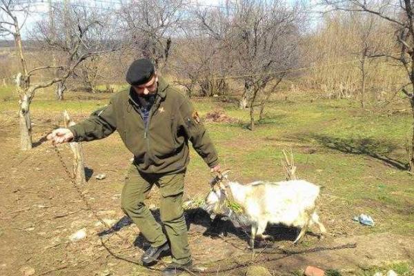 Из Горловки в Славянск успешно эвакуировали семью из 5-ти человек