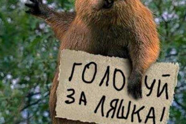В сети появились фотожабы, на которых Ляшко защищает бобров