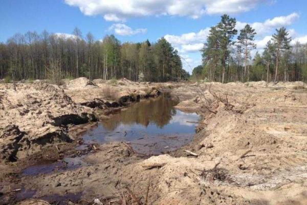 После команды "сверху" янтарные клондайки в Ровенской области опустели - журналист