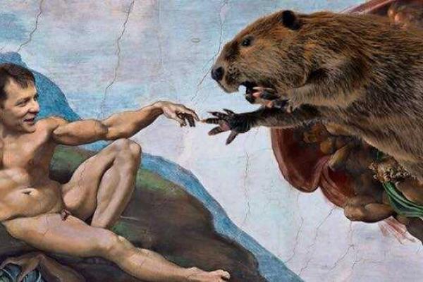 В сети появились фотожабы, на которых Ляшко защищает бобров