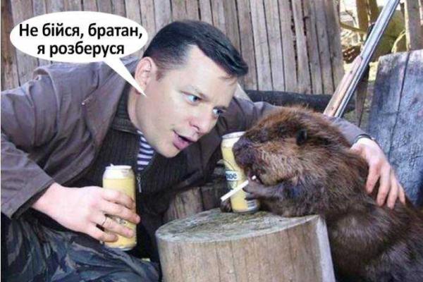 В сети появились фотожабы, на которых Ляшко защищает бобров