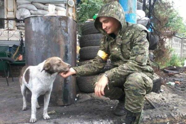 Уникальные кадры фронтовых будней: четвероногие побратимы бойцов АТО Уникальные кадры фронтовых будней: четвероногие побратимы бойцов АТО