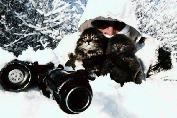 Уникальные кадры фронтовых будней: четвероногие побратимы бойцов АТО Уникальные кадры фронтовых будней: четвероногие побратимы бойцов АТО