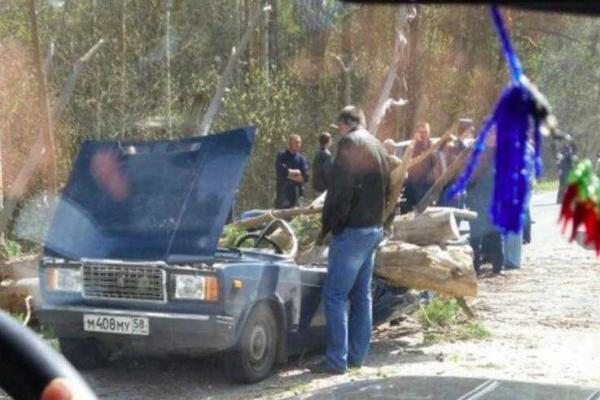 В России два дерева упали на движущееся авто: погибли 3 человека