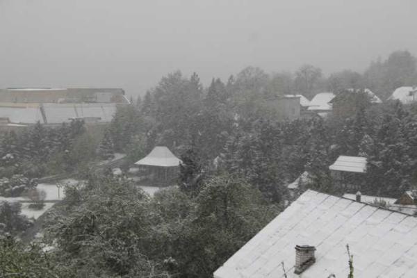 Львовщину засыпало снегом: опубликованы снимки