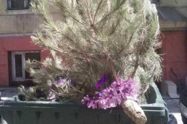 Накануне Пасхи одессит решился выбросить новогоднюю елку, опубликовано фото
