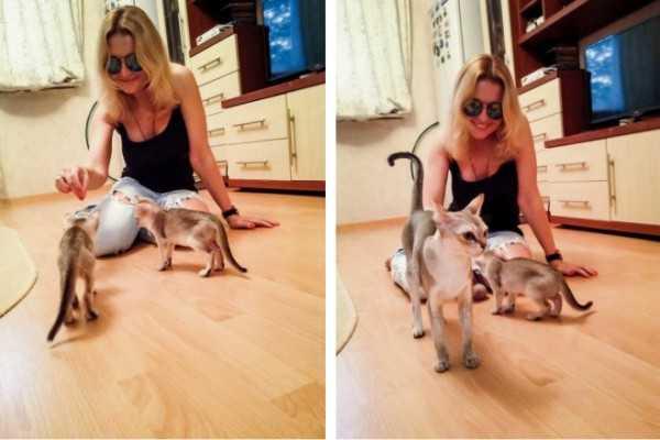 В семье Анжелики Варум прибавление