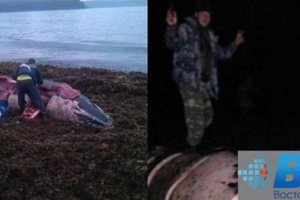 Россияне разделали и съели кита, который выбросился на берег