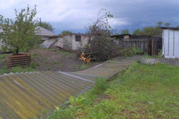По Луганщине пронесся ураган: повреждены десятки домов По Луганщине пронесся ураган: повреждены десятки домов