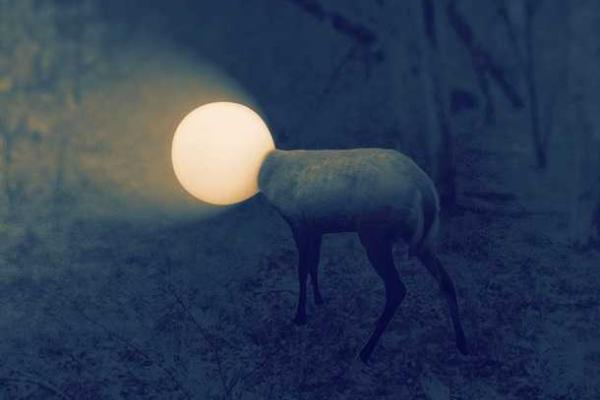 Застрявший в плафоне олень стал героем мемов