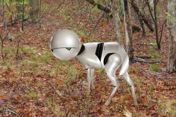 Застрявший в плафоне олень стал героем мемов