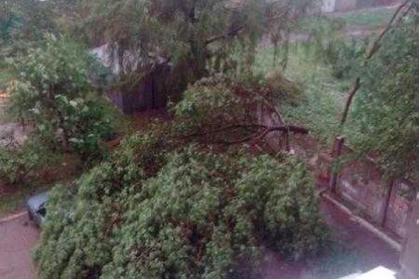 В Харькове прошел мощный ливень: повалены деревья, затоплен рынок «Барабашово» В Харькове прошел мощный ливень: повалены деревья, затоплен рынок «Барабашово»