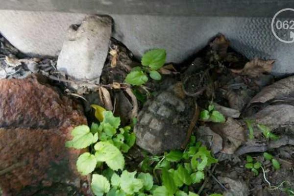 Жительница Мариуполя откопала в огороде гранату