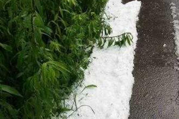 Лето в Луцке: областной центр засыпало снежным градом Лето в Луцке: областной центр засыпало снежным градом
