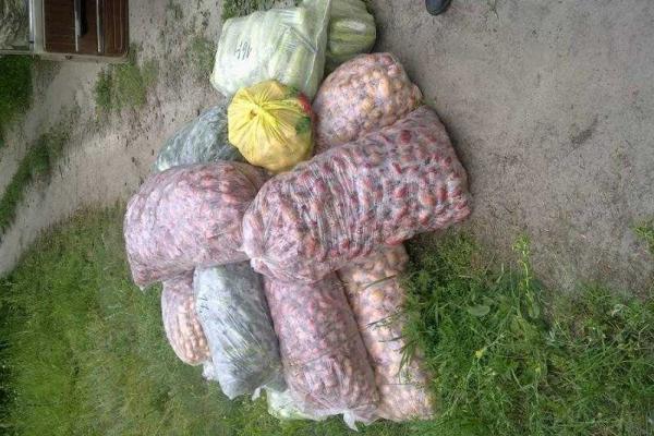 "Кормильцы ЛНР": Как адепты "русского мира" с украинской территории "подкармливают" оккупированный Донбасс "Кормильцы ЛНР": Как адепты "русского мира" с украинской территории "подкармливают" оккупированный Донбасс