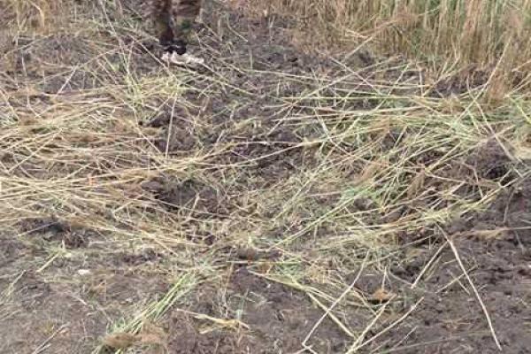 Стали известны подробности обстрела Авдеевки: есть раненые Стали известны подробности обстрела Авдеевки: есть раненые