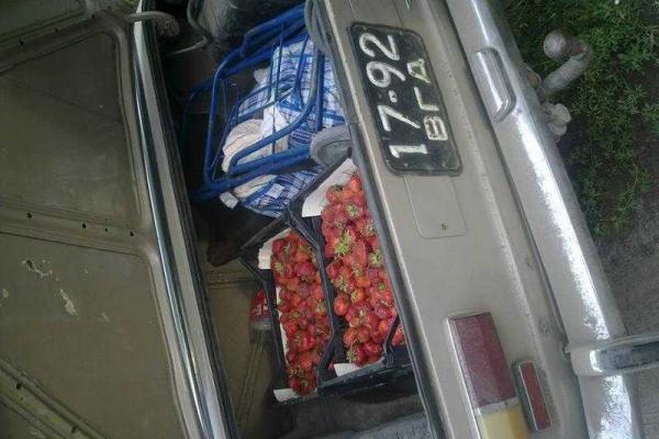 "Кормильцы ЛНР": Как адепты "русского мира" с украинской территории "подкармливают" оккупированный Донбасс "Кормильцы ЛНР": Как адепты "русского мира" с украинской территории "подкармливают" оккупированный Донбасс