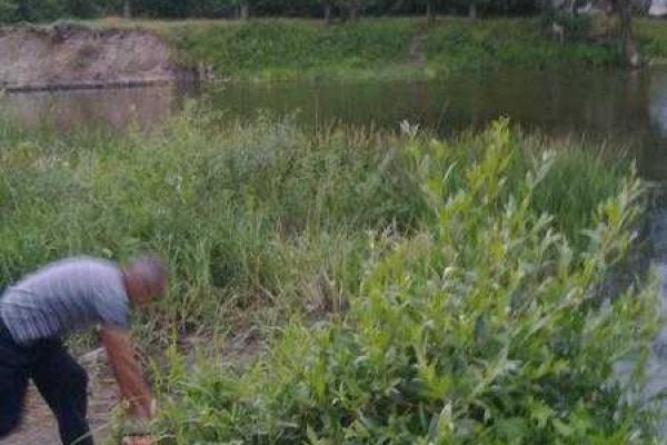 "Кормильцы ЛНР": Как адепты "русского мира" с украинской территории "подкармливают" оккупированный Донбасс "Кормильцы ЛНР": Как адепты "русского мира" с украинской территории "подкармливают" оккупированный Донбасс