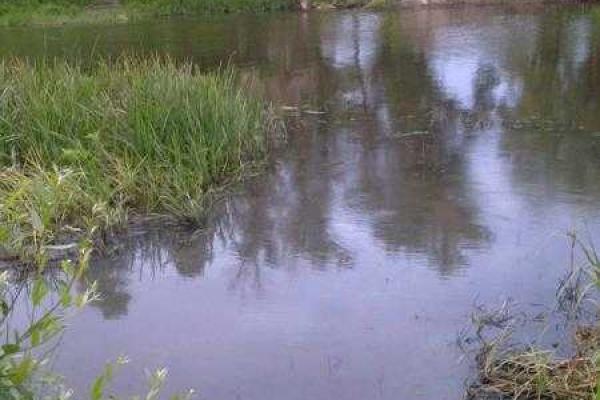 "Кормильцы ЛНР": Как адепты "русского мира" с украинской территории "подкармливают" оккупированный Донбасс "Кормильцы ЛНР": Как адепты "русского мира" с украинской территории "подкармливают" оккупированный Донбасс