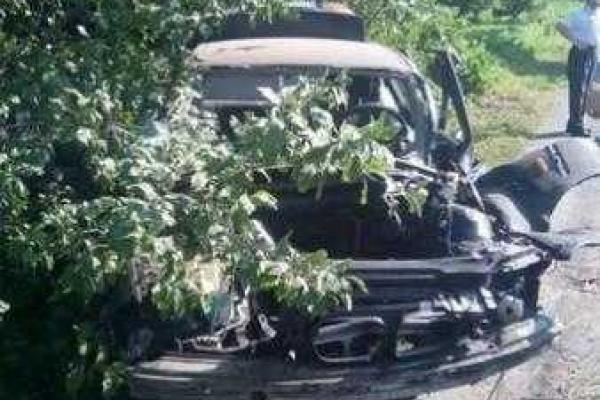 BMW не доехал до Львова: погибли 3 человека BMW не доехал до Львова: погибли 3 человека
