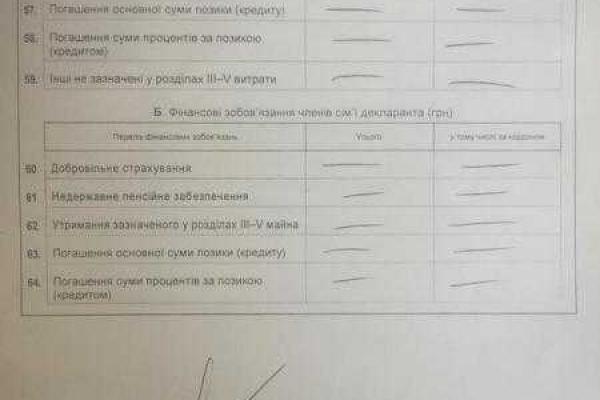 Шкиряк опубликовал декларацию за 2015 год