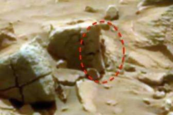 На Марсе обнаружены останки маленького инопланетянина, похожего на "гуманоида Атакамы"