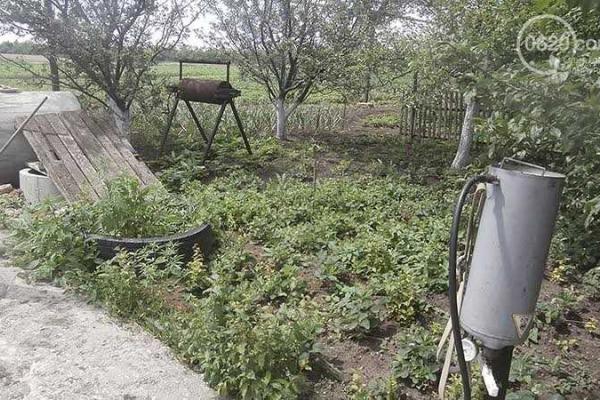 Наркоплантация под Мариуполем: парень решил выращивать наркотик дома Наркоплантация под Мариуполем: парень решил выращивать наркотик дома