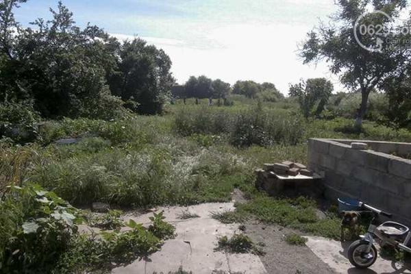 В Донецкой области на огороде среди кукурузы нашли коноплю