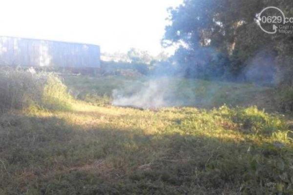 Под Мариуполем разожгли костер из 7 тысяч кустов конопли Под Мариуполем разожгли костер из 7 тысяч кустов конопли