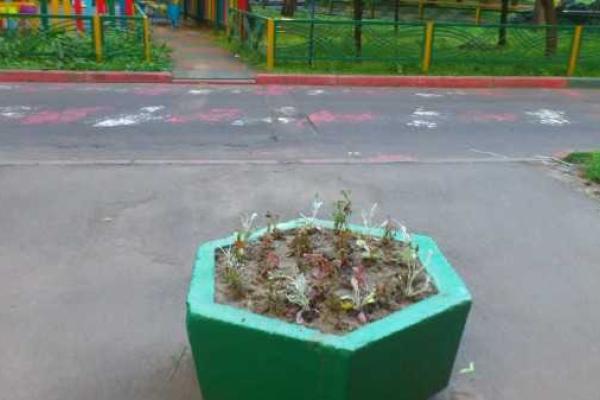 Улицы Москвы теперь украшают цветы в гробах Улицы Москвы теперь украшают цветы в гробах