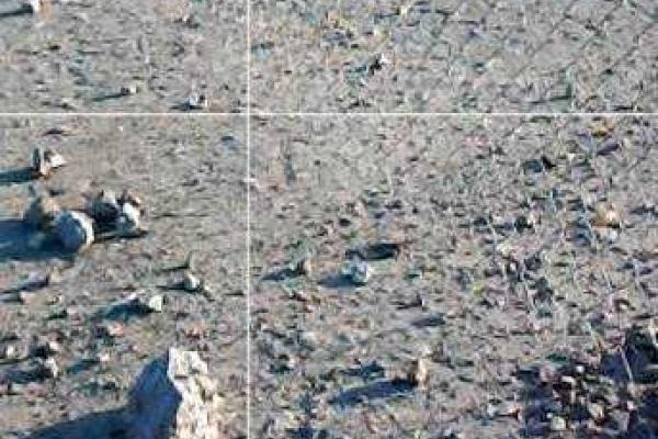 Боевики в зоне АТО увеличили количество провокационных обстрелов Боевики в зоне АТО увеличили количество провокационных обстрелов