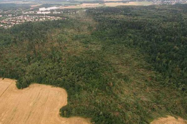 Последствия урагана в Беларуси сравнили с падением Тунгусского метеорита Последствия урагана в Беларуси сравнили с падением Тунгусского метеорита