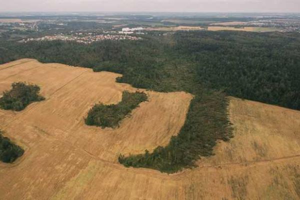 Последствия урагана в Беларуси сравнили с падением Тунгусского метеорита Последствия урагана в Беларуси сравнили с падением Тунгусского метеорита