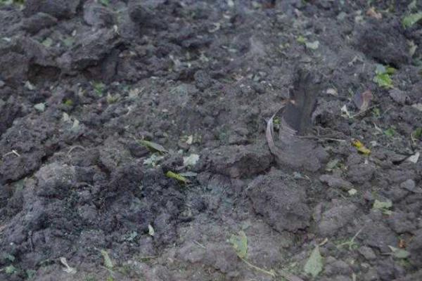 Появились фото последствий боя в Донецке Появились фото последствий боя в Донецке