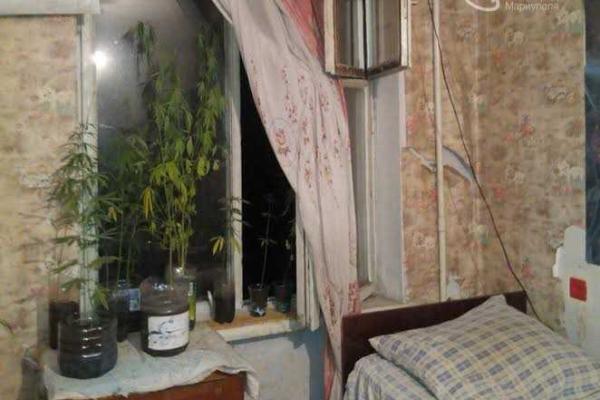 В Мариуполе женщина выращивала коноплю прямо на подоконнике квартиры В Мариуполе женщина выращивала коноплю прямо на подоконнике квартиры