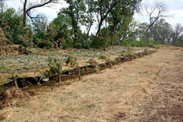 Захарченко похвалил боевиков за стрельбу по виртуальному врагу Захарченко похвалил боевиков за стрельбу по виртуальному врагу